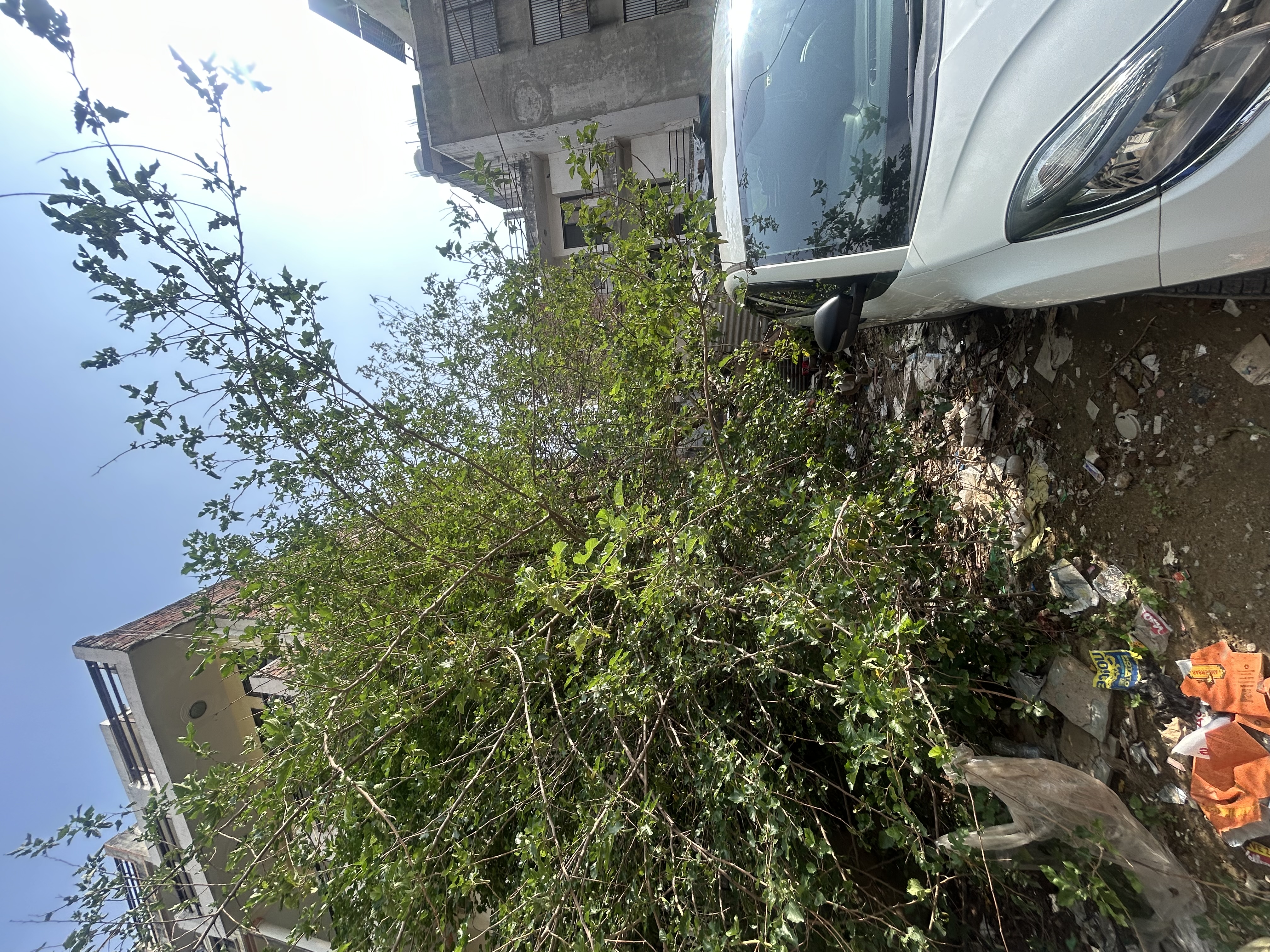 🏡Residential Plot for Sale – Sector 46, Gurgaon📍 gallery image 4