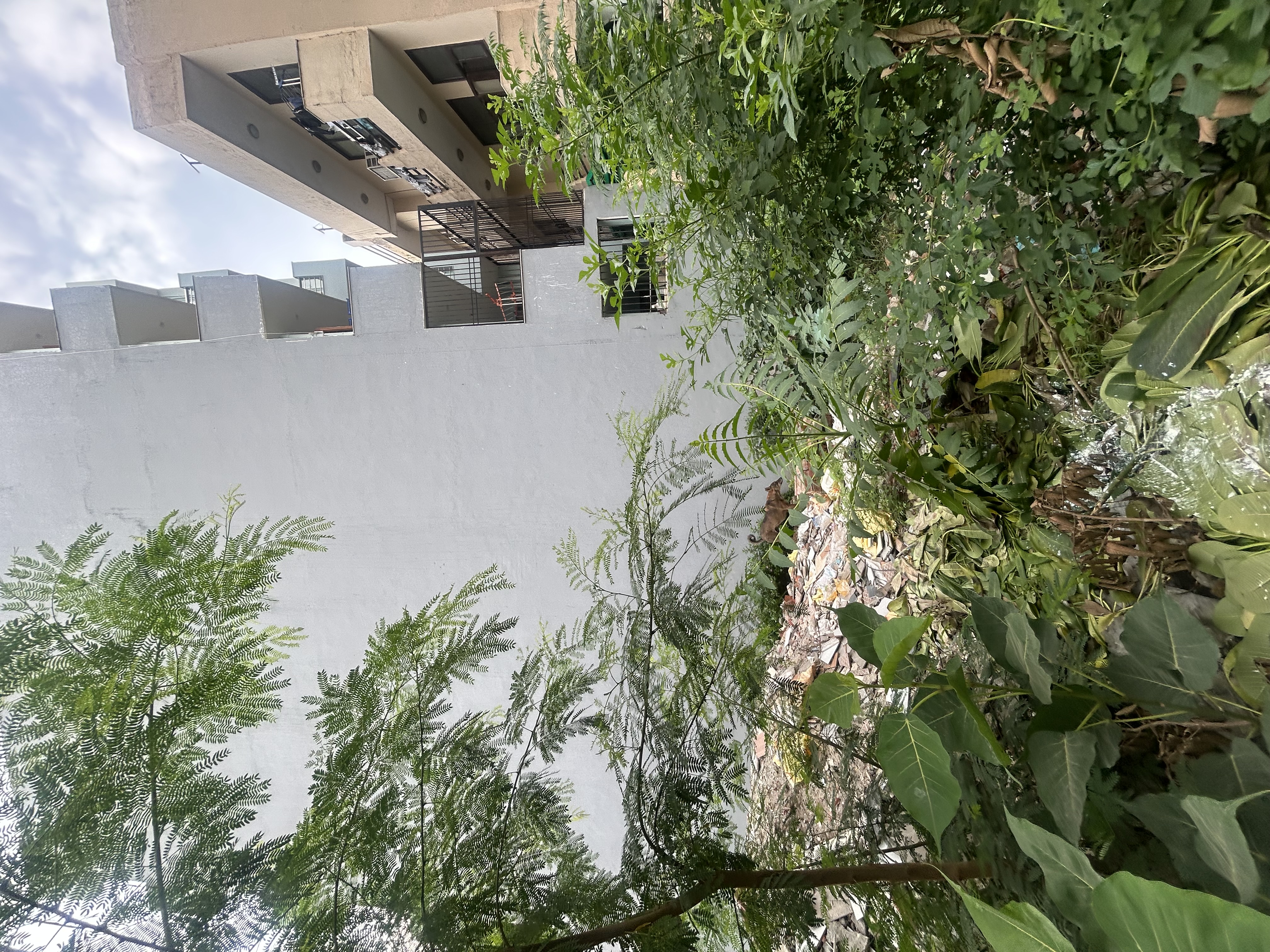 🏡100 sq yards Plot For Sale In sector 38 gurgaon 📍