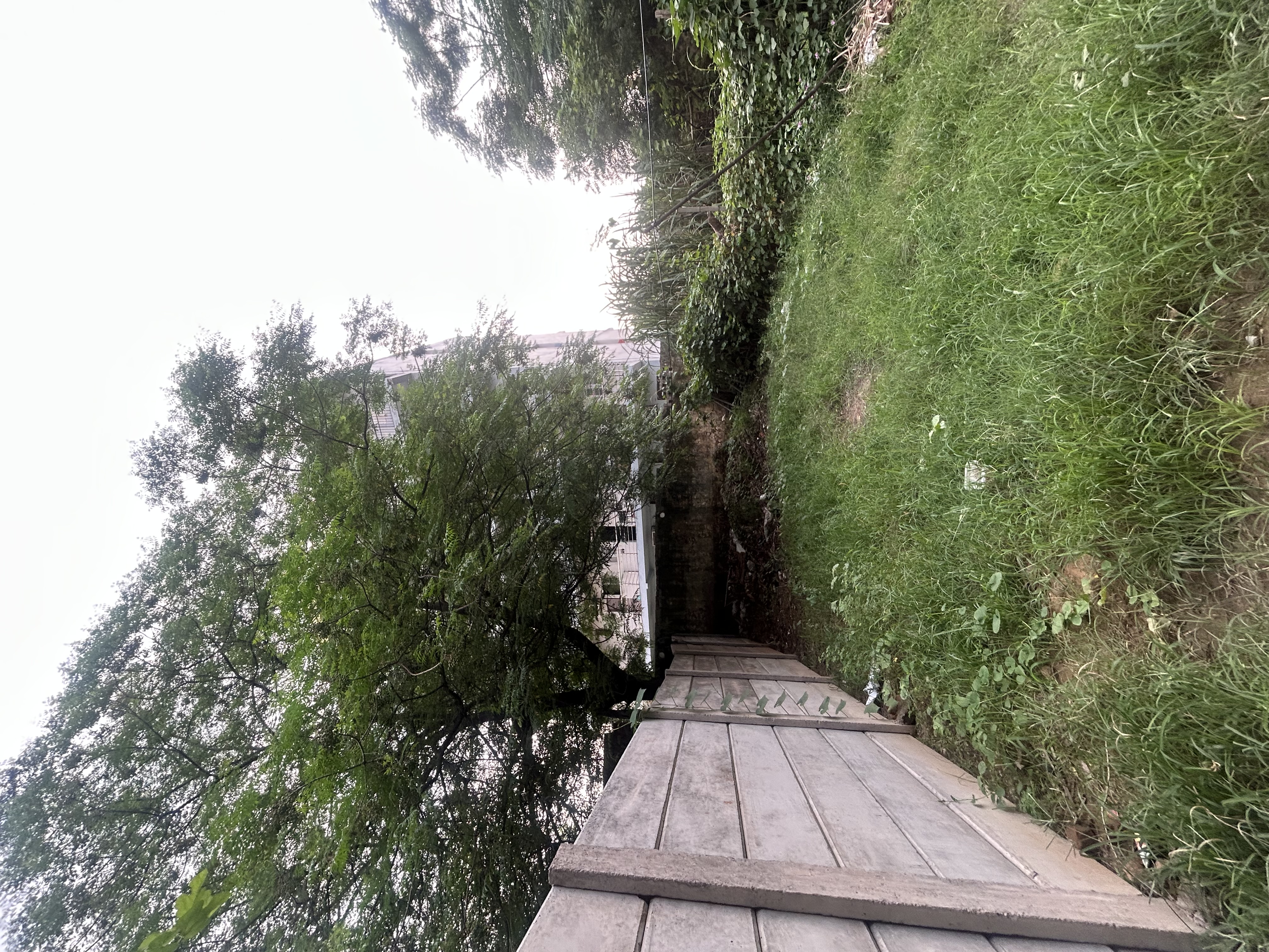 🏡Residential Plot for Sale in Sector 51, Gurgaon📍 – 100 Sq. Yards |