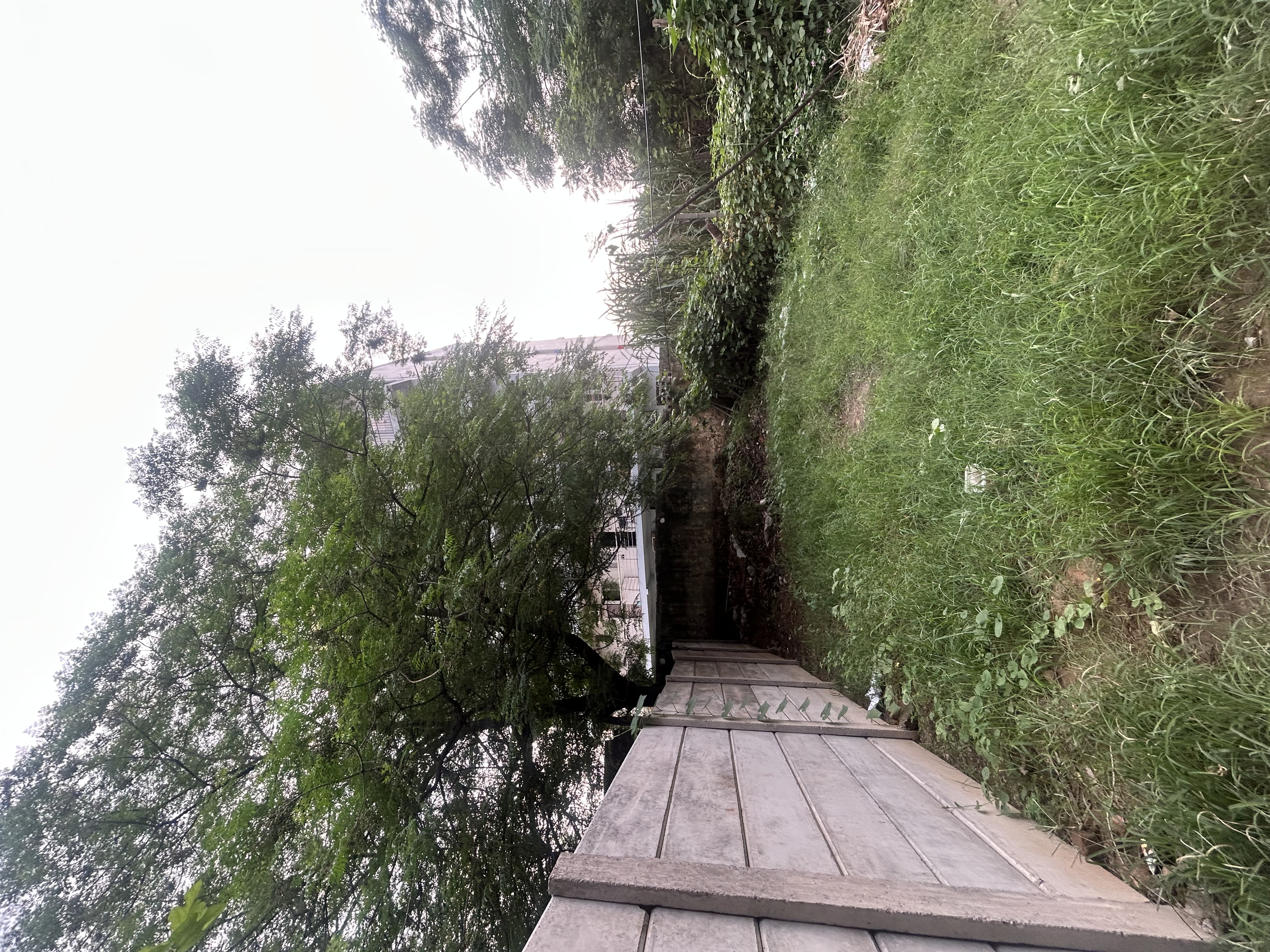 🏡Residential Plot for Sale in Sector 51, Gurgaon📍 – 100 Sq. Yards | gallery image 3