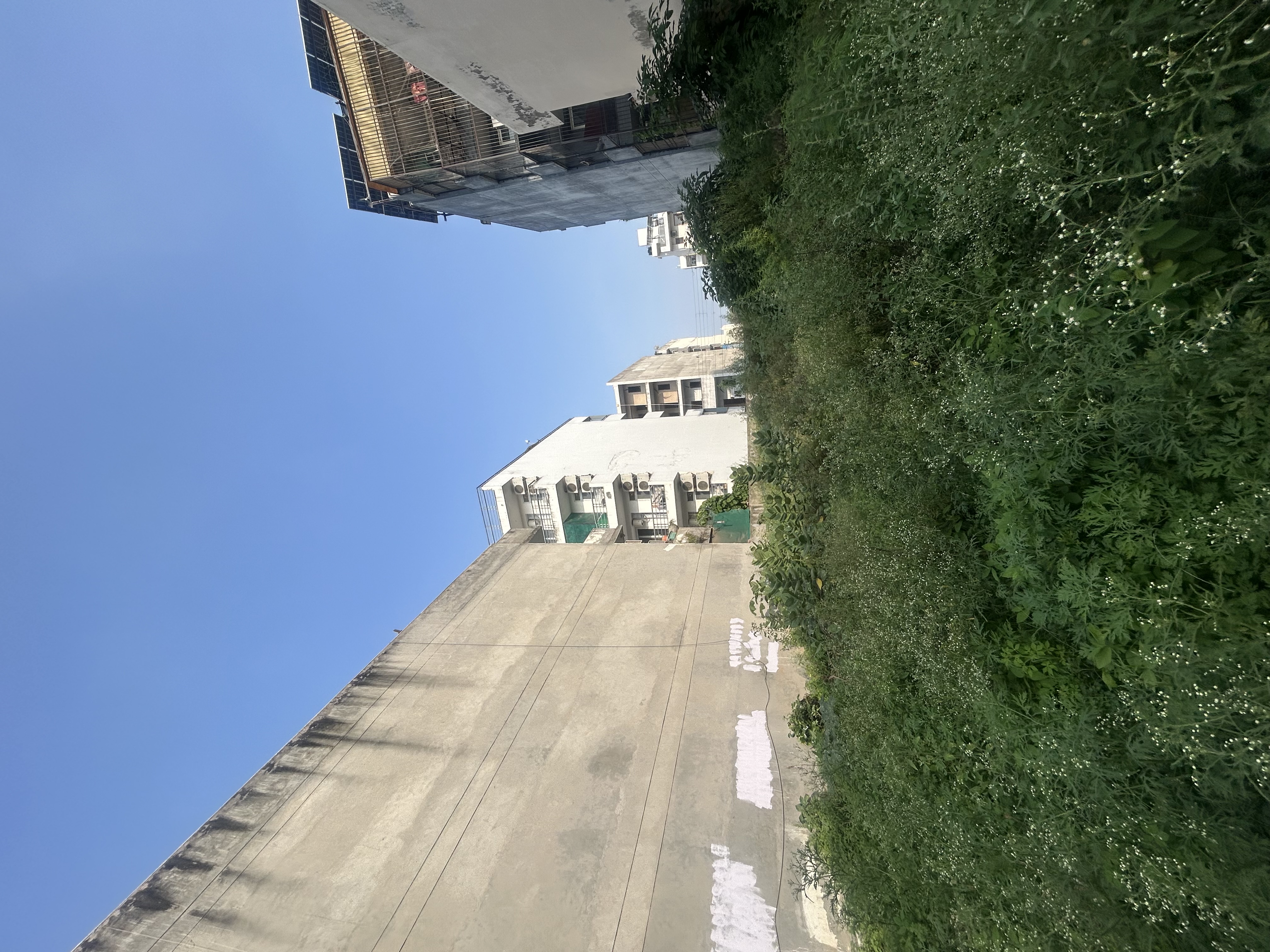 🏡 263 Sq. Yards Residential Plot for Sale – Sector 46, Gurgaon📍