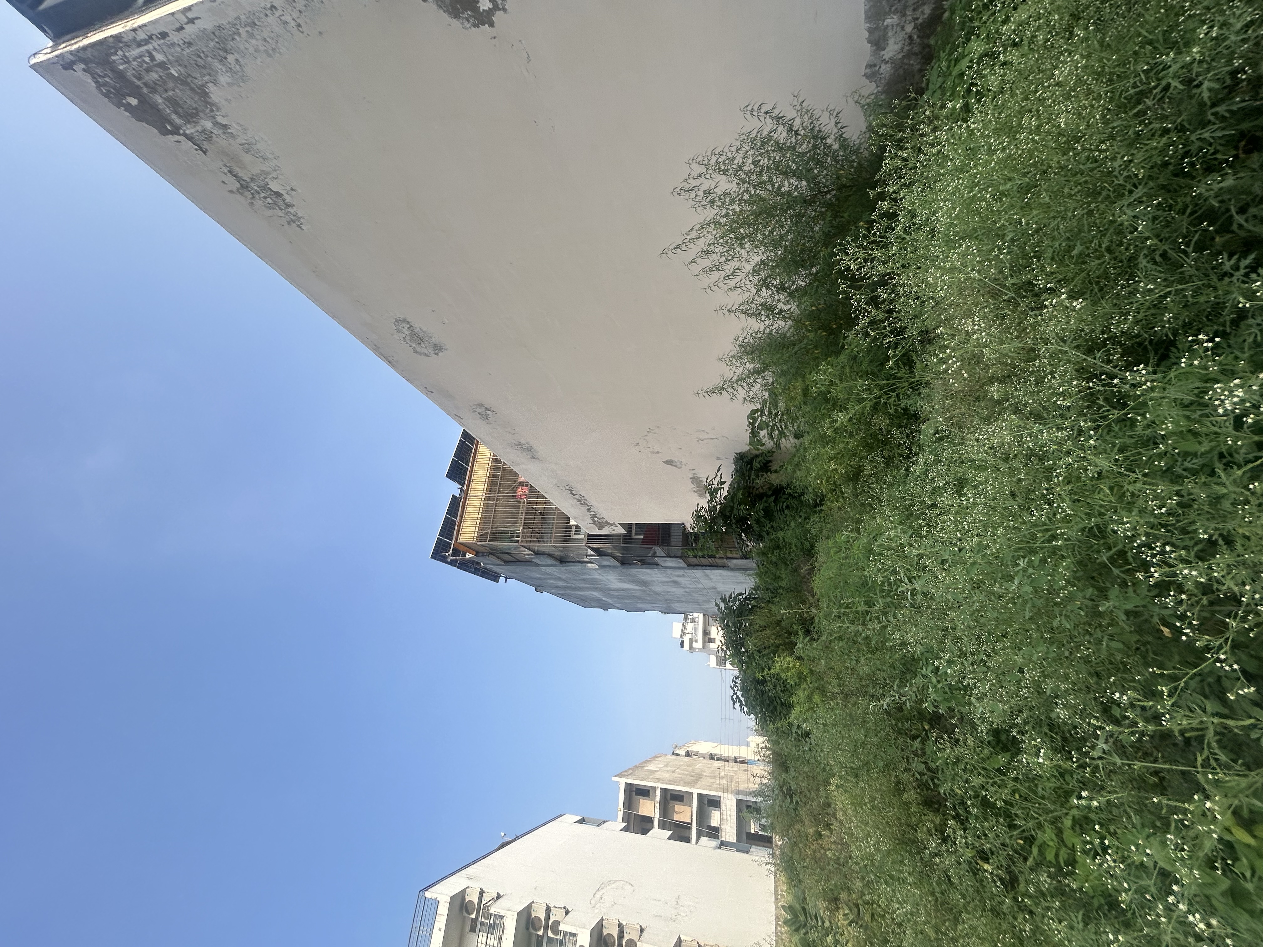 🏡 263 Sq. Yards Residential Plot for Sale – Sector 46, Gurgaon📍 gallery image 3